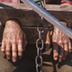 Illustration for article titled iOne Piece /iRendered in Realistic 3D